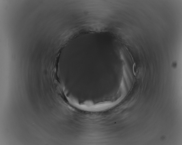 X0000094351202200711241907