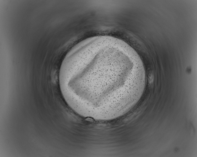 X0000094351204200711241907