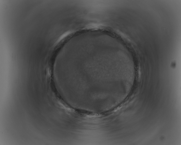 X0000094351206200711241907