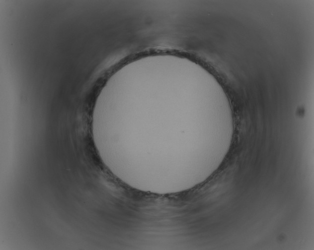 X0000094351207200711241907