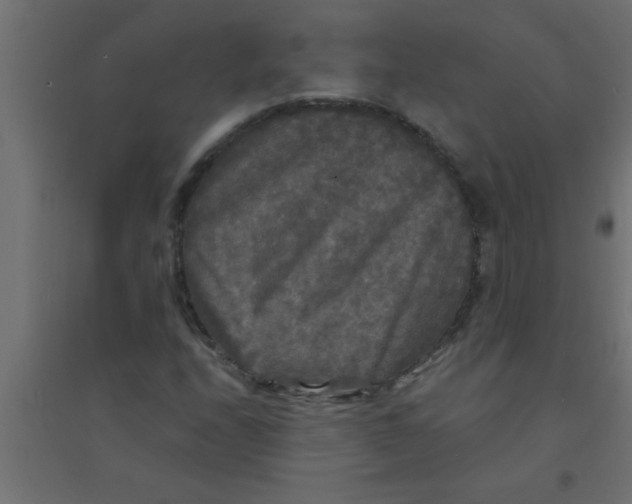 X0000094351208200711241907