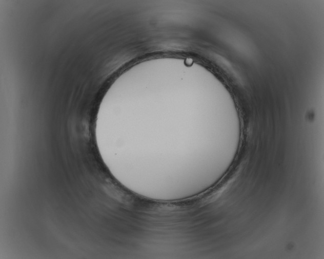 X0000094351209200711241907