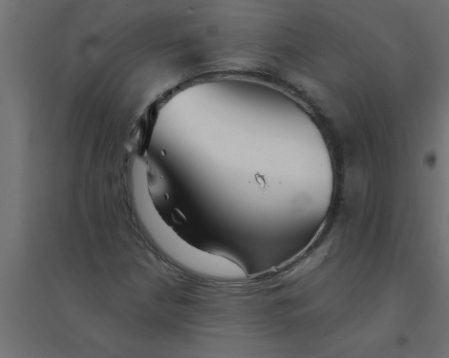 X0000094351210200711241907