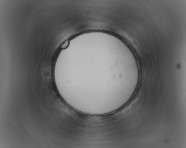 X0000094351211200711241907