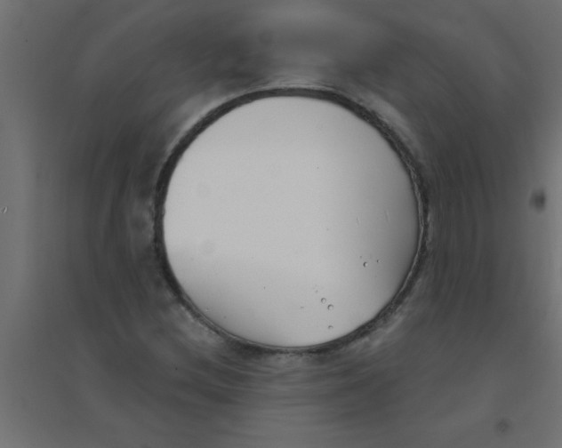 X0000094351212200711241907