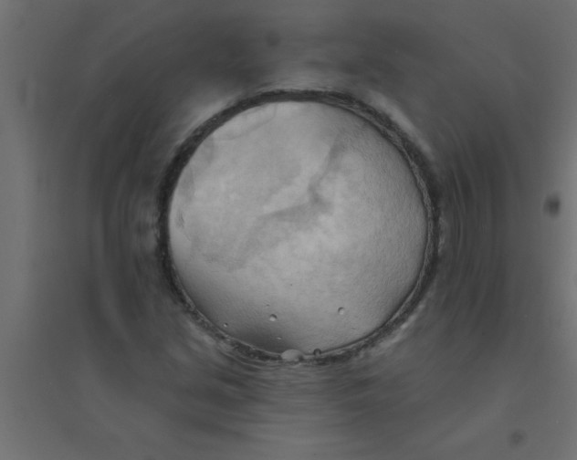 X0000094351213200711241907