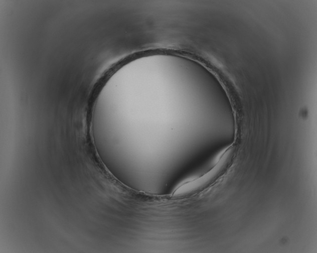 X0000094351214200711241907