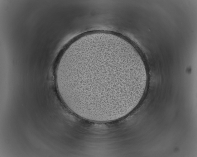 X0000094351215200711241907