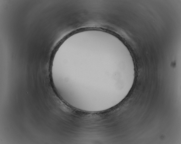 X0000094351216200711241907