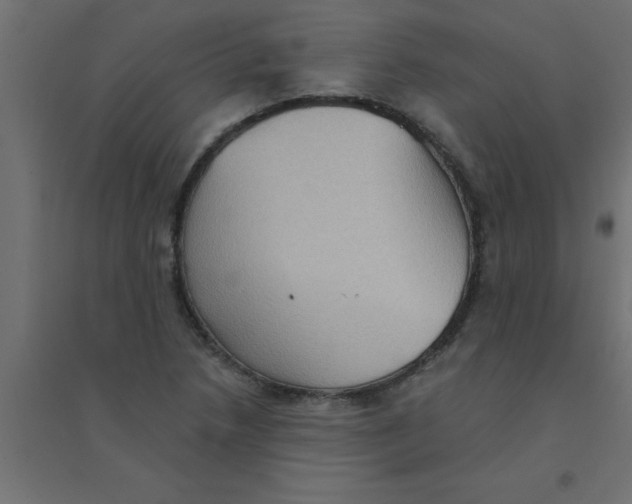 X0000094351218200711241907