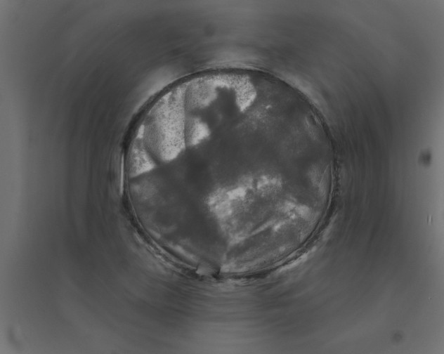 X0000094351219200711241907