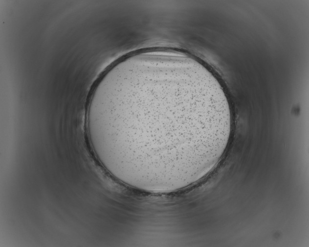 X0000094351220200711241907