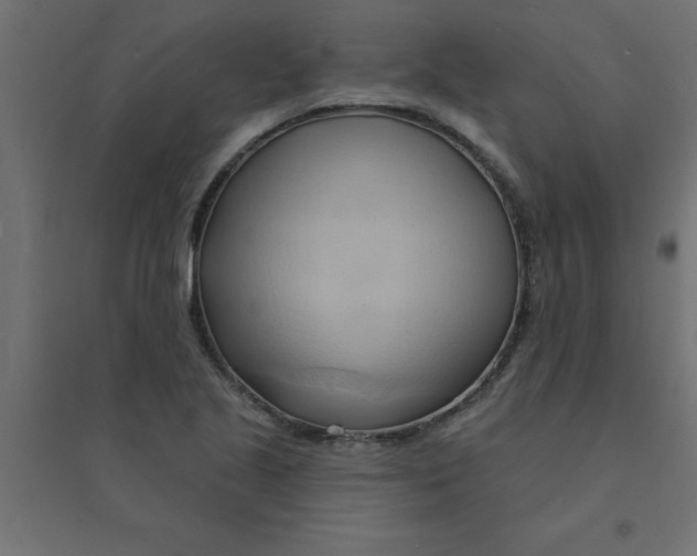 X0000094351221200711241907