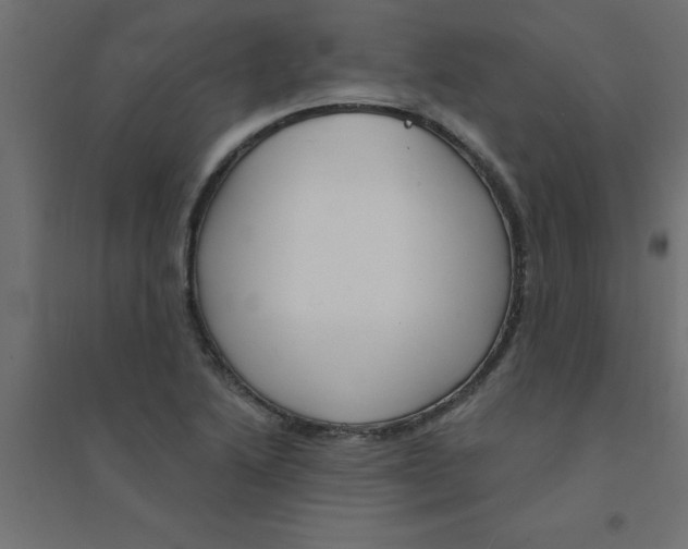 X0000094351222200711241907