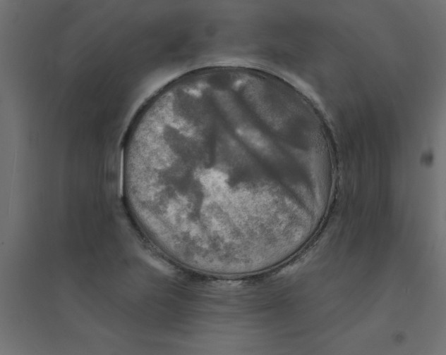 X0000094351223200711241907