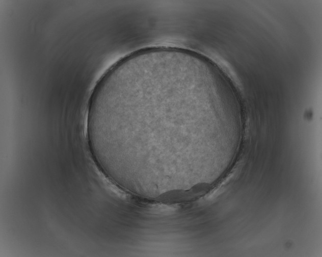 X0000094351224200711241907