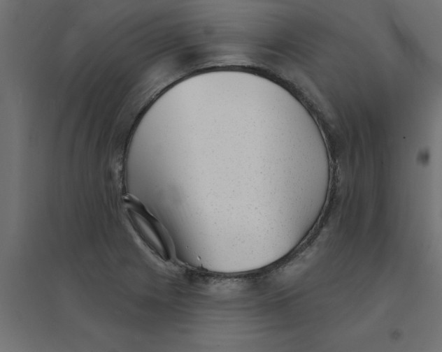 X0000094351225200711241907