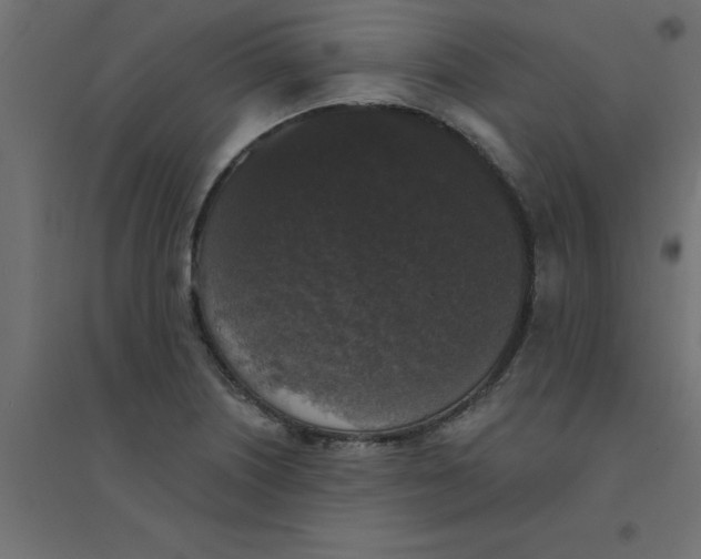 X0000094351226200711241907