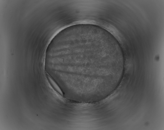 X0000094351228200711241907