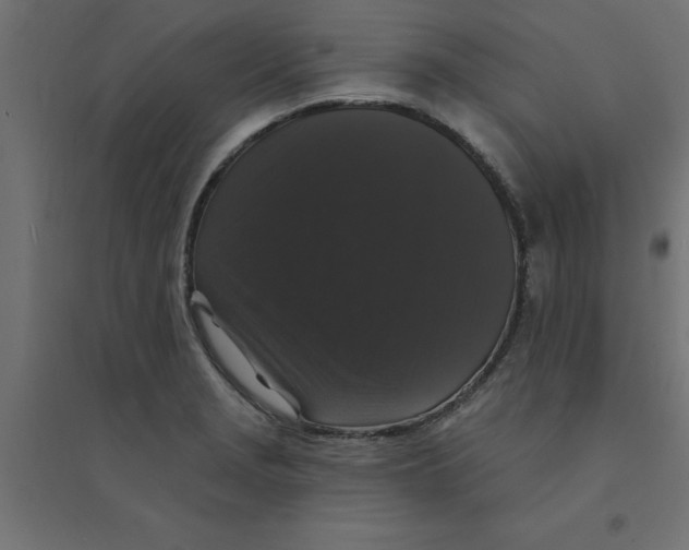 X0000094351229200711241907