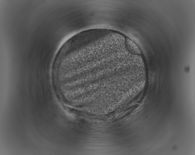 X0000094351230200711241907