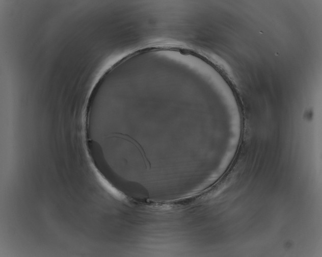 X0000094351231200711241907