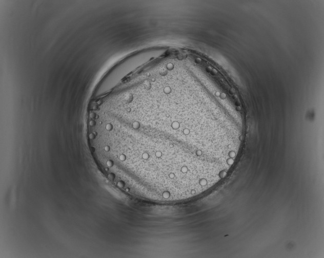 X0000094351232200711241907