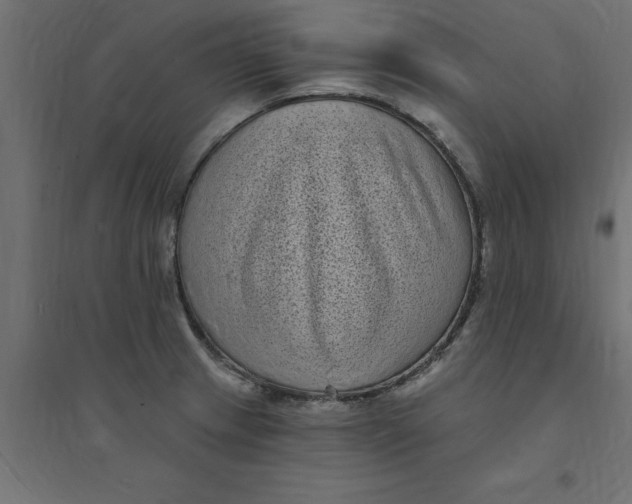 X0000094351233200711241907