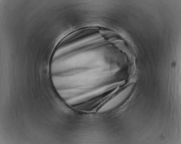 X0000094351234200711241908