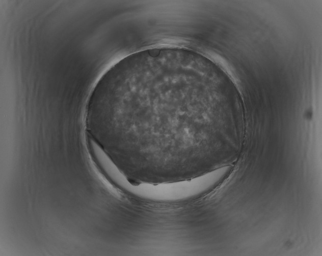 X0000094351235200711241908