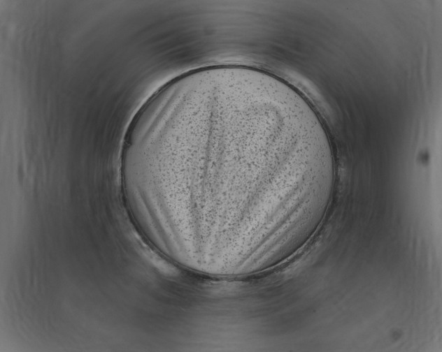 X0000094351236200711241908