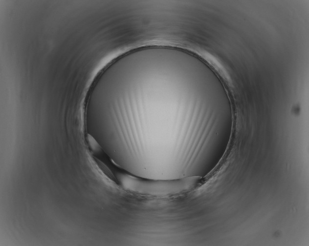 X0000094351238200711241908