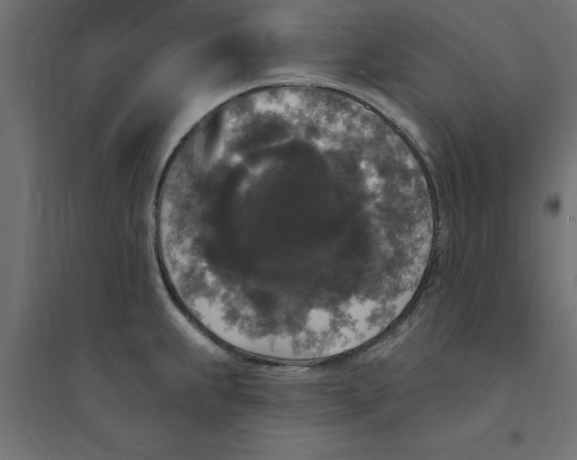 X0000094351239200711241908