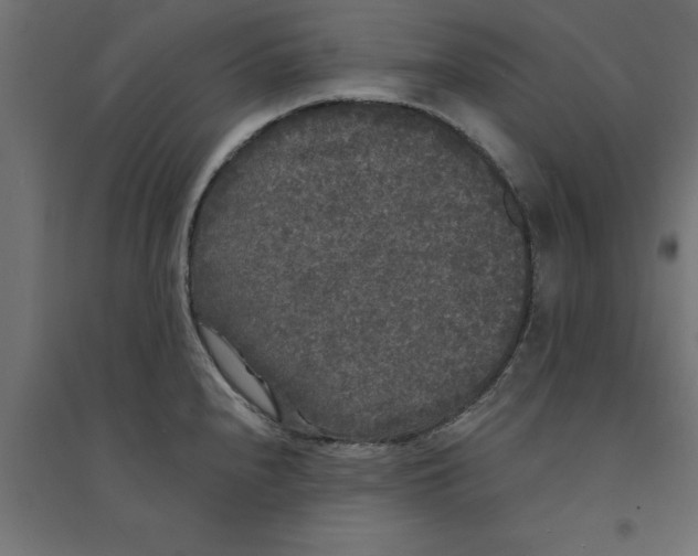 X0000094351240200711241908