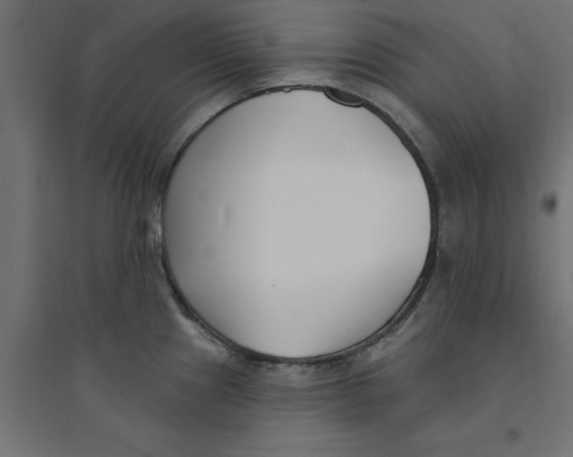 X0000094351241200711241908