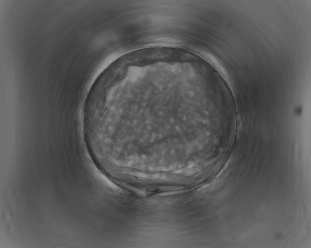 X0000094351243200711241908