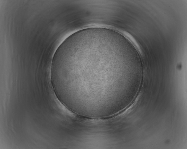 X0000094351244200711241908