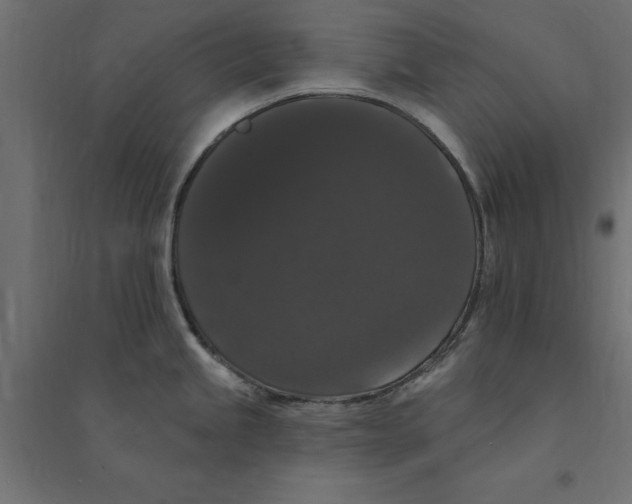 X0000094351245200711241908