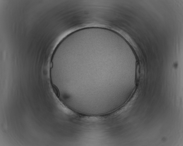 X0000094351246200711241908