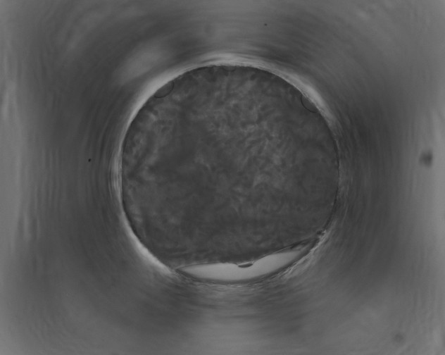 X0000094351247200711241908