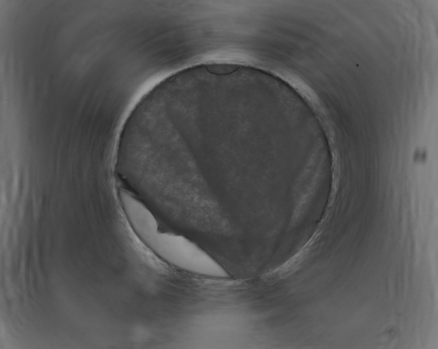 X0000094351248200711241908