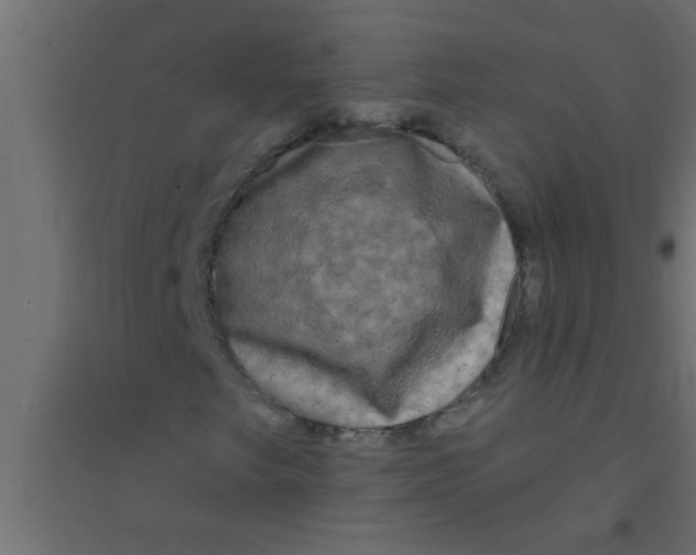 X0000094351249200711241907