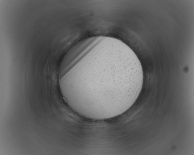 X0000094351250200711241907