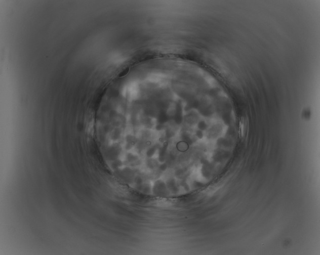 X0000094351251200711241907