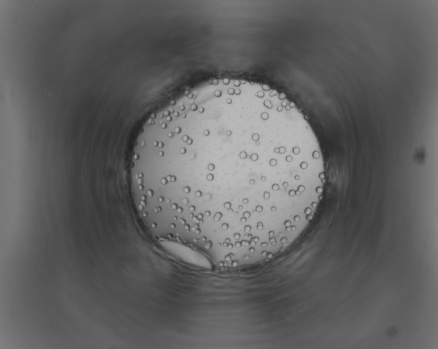 X0000094351252200711241907