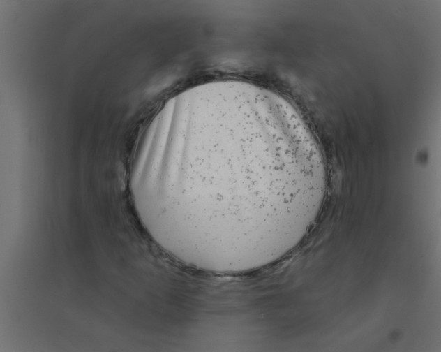 X0000094351253200711241907