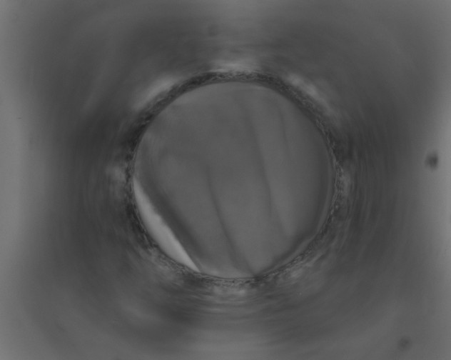 X0000094351254200711241907