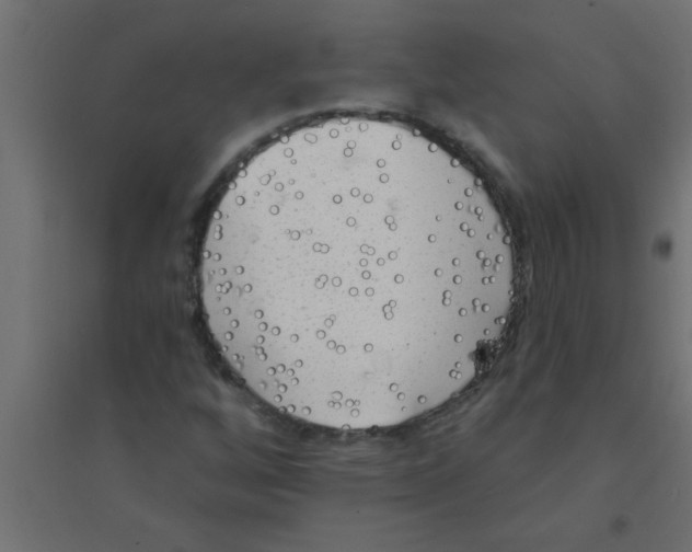 X0000094351256200711241907