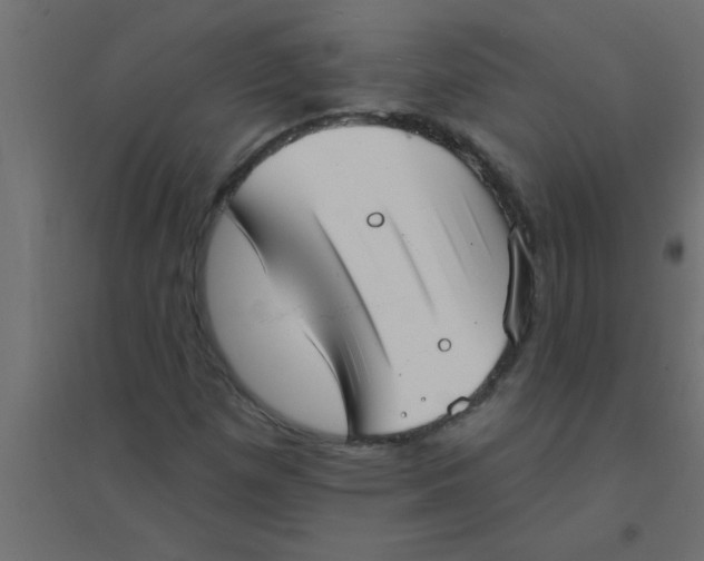 X0000094351257200711241907