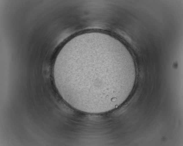 X0000094351258200711241907